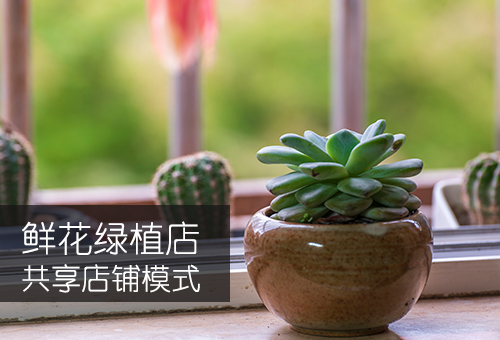 鲜花绿植店共享店铺模式