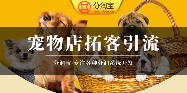 宠物店促销活动