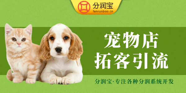 宠物店促销活动