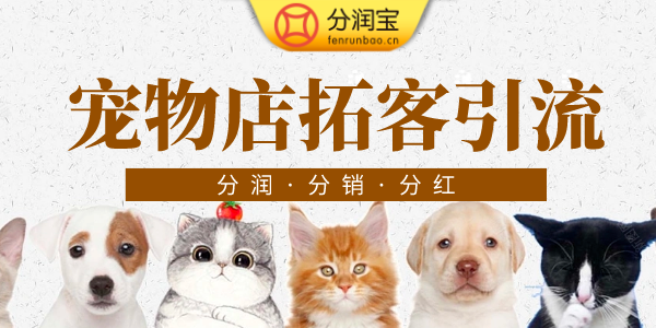 宠物店营销