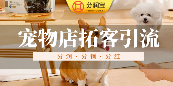 宠物店拓客引流