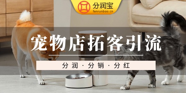 宠物店线上营销方案