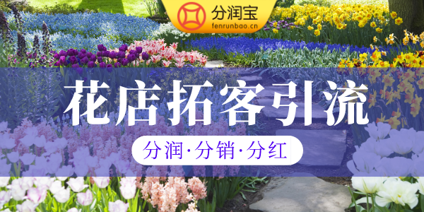 花店引流方案