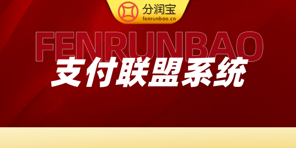 支付联盟模式