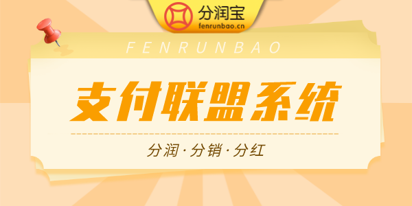 支付联盟模式