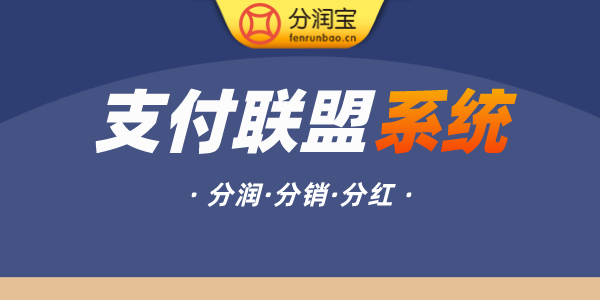 支付联盟模式