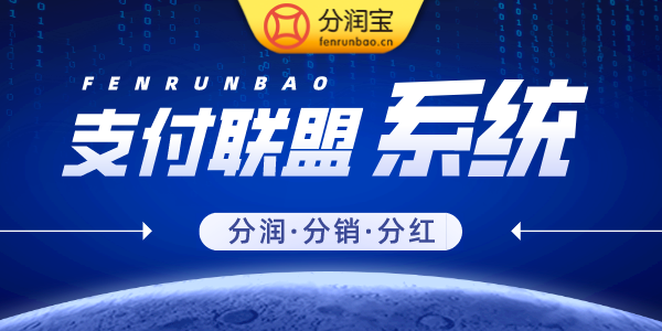 支付联盟模式