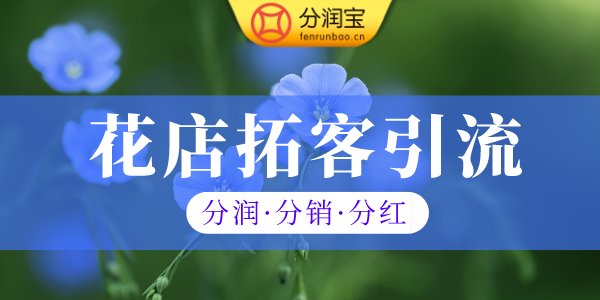 花店引流方案