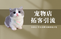 宠物店拓客引流 宠物店怎么开吸引客户 宠物店拓客引流 宠物店怎么开吸引客户