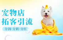 宠物店开业活动怎么做 宠物店开业活动策划