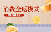 返利商城系统的几种常见类型及开发模式